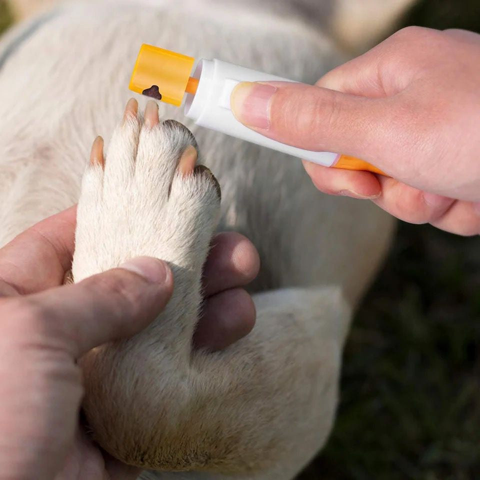 Lima Pet Pedicure