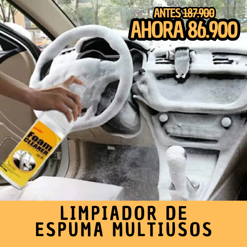 Limpiador de Espuma Multiusos